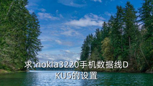 求:nokia3220手機數(shù)據(jù)線DKU5的設置