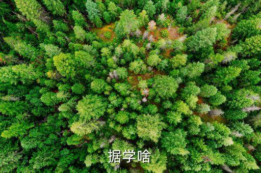 windows 大數(shù)據(jù),Windows數(shù)據(jù)遷移