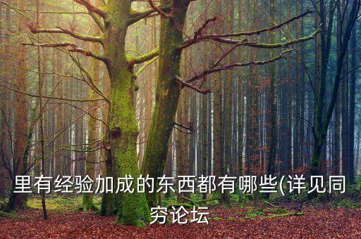 音速論壇,sonicbbs 音速論壇