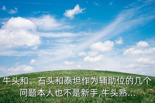 牛頭和、石頭和泰坦作為輔助位的幾個(gè)問題本人也不是新手,牛頭熟...