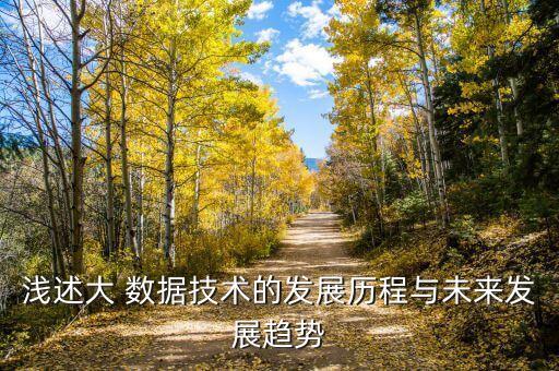 淺述大 數(shù)據(jù)技術的發(fā)展歷程與未來發(fā)展趨勢