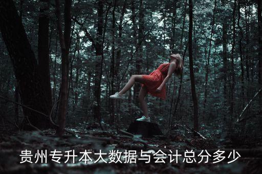 貴陽學院自動化專業(yè)分數線