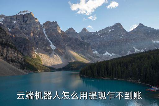 云端機(jī)器人怎么用提現(xiàn)乍不到賬