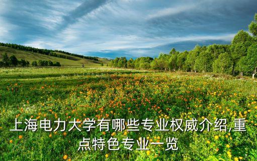 上海電力大學(xué)有哪些專業(yè)權(quán)威介紹,重點(diǎn)特色專業(yè)一覽