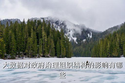 大數(shù)據(jù)與政府,政府掌握大量最具應(yīng)用價值的核心數(shù)據(jù)