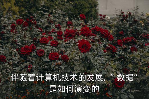 伴隨著計算機技術的發(fā)展,“ 數(shù)據(jù)”是如何演變的