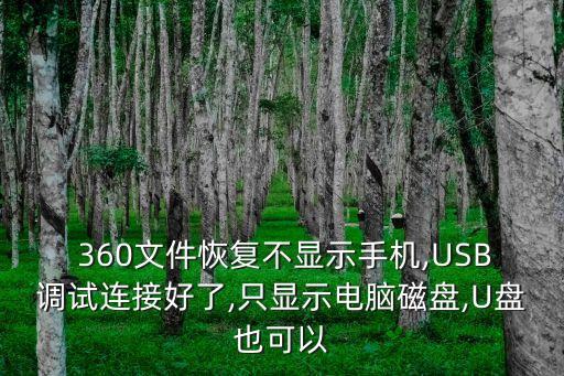 360充電器換數(shù)據(jù)線,原裝充電器換個數(shù)據(jù)線會怎么樣