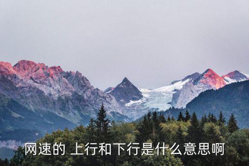 上行速率