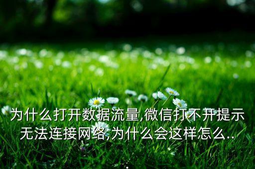 為什么打開數(shù)據(jù)流量,微信打不開提示無法連接網(wǎng)絡(luò),為什么會(huì)這樣怎么...