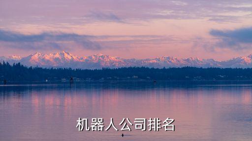 上海樂深自動化有限公司,樂力佳自動化設備有限公司