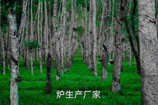 石家莊工業(yè)自動化設備廠商,工業(yè)爐制造商