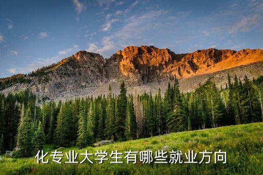 自動化專業(yè)女孩就業(yè)方向,大專自動化專業(yè)就業(yè)方向