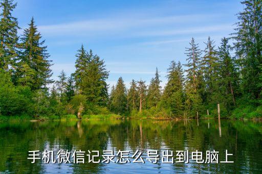 蘋果數(shù)據(jù)怎么導(dǎo)出來嗎,如何將蘋果手機(jī)數(shù)據(jù)導(dǎo)出到電腦?