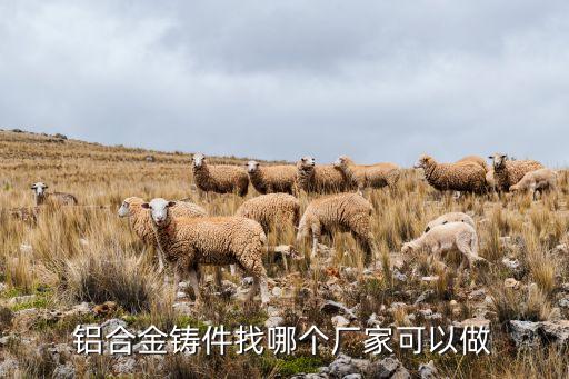 鋅合金自動化澆鑄設備,全自動鋅合金壓鑄機