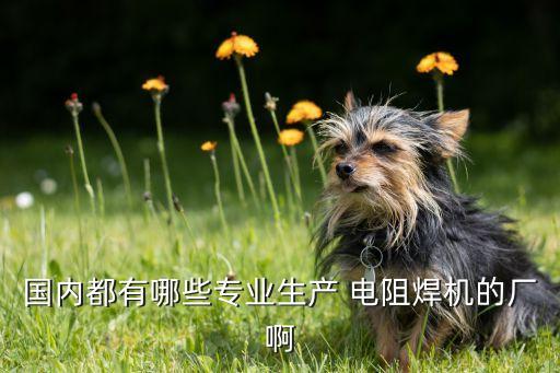 國(guó)內(nèi)都有哪些專業(yè)生產(chǎn) 電阻焊機(jī)的廠啊
