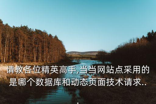 請教各位精英高手,當(dāng)當(dāng)網(wǎng)站點采用的是哪個數(shù)據(jù)庫和動態(tài)頁面技術(shù)請求...