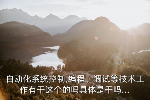 自動化系統(tǒng)控制,編程、調(diào)試等技術(shù)工作有干這個的嗎具體是干嗎...