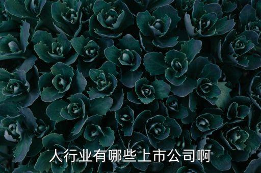人行業(yè)有哪些上市公司啊