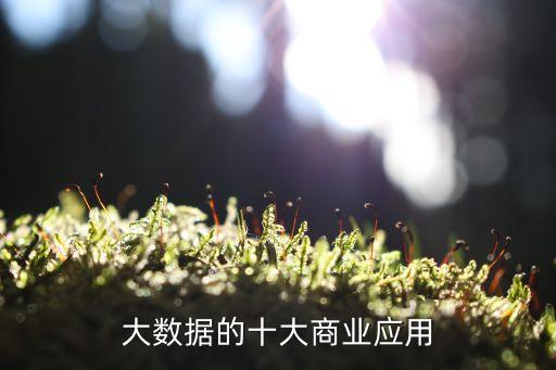 哪些電商運(yùn)用了大數(shù)據(jù),有哪些電商數(shù)據(jù)?