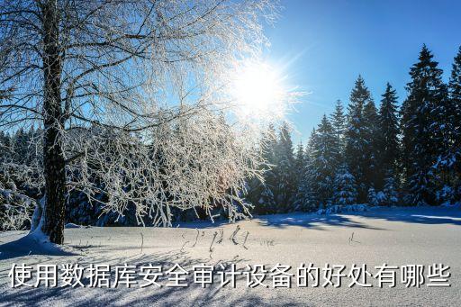 數(shù)據(jù)庫審計系統(tǒng)的功能,數(shù)據(jù)庫審計系統(tǒng)要做到什么?