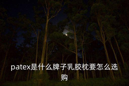 patex是什么牌子乳膠枕要怎么選購