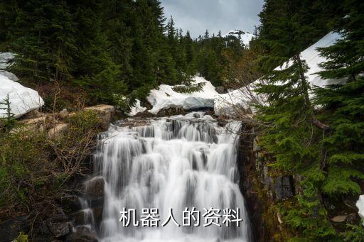 機(jī)器人的資料