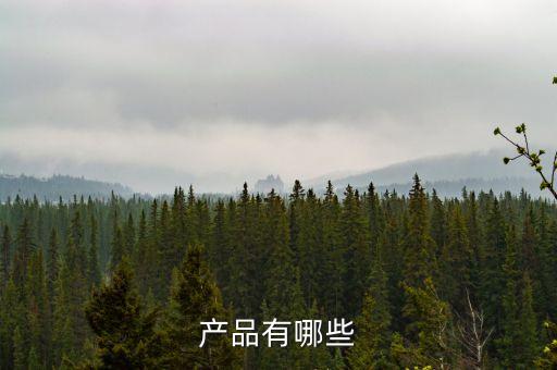 產(chǎn)品有哪些