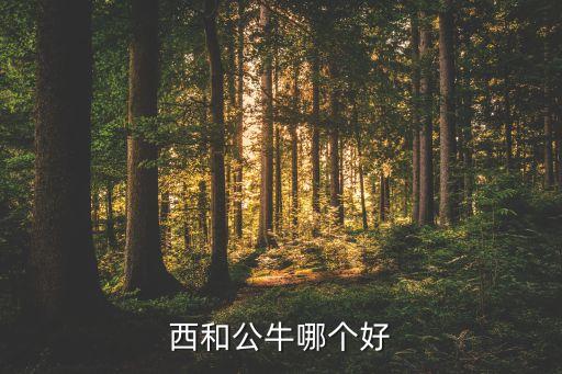 西和公牛哪個好