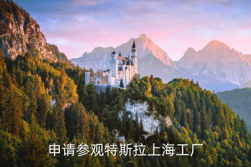 申請參觀特斯拉上海工廠
