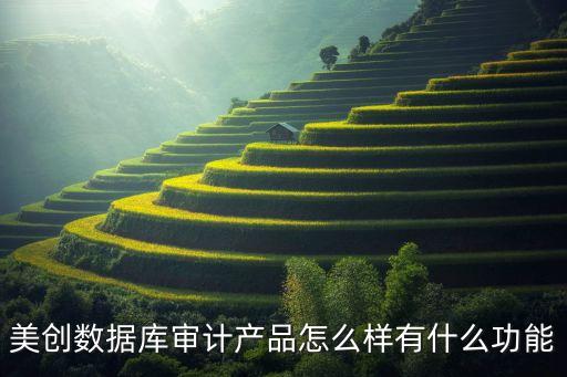 美創(chuàng)數(shù)據(jù)庫(kù)審計(jì)產(chǎn)品怎么樣有什么功能