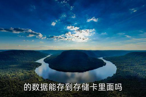 的數(shù)據(jù)能存到存儲(chǔ)卡里面嗎