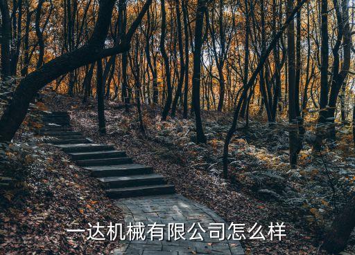 一達(dá)機(jī)械有限公司怎么樣