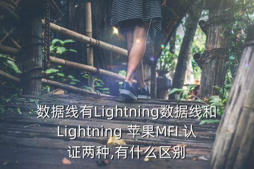 數(shù)據(jù)線有Lightning數(shù)據(jù)線和Lightning 蘋果MFI 認證兩種,有什么區(qū)別