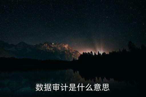 數(shù)據(jù)審計(jì)是什么意思