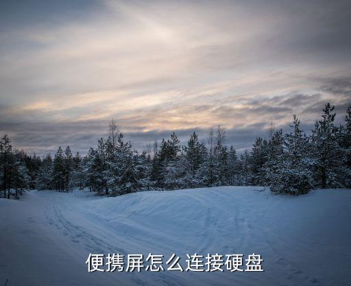 diy移動硬盤 數(shù)據(jù)線,移動硬盤數(shù)據(jù)線的問題!!!