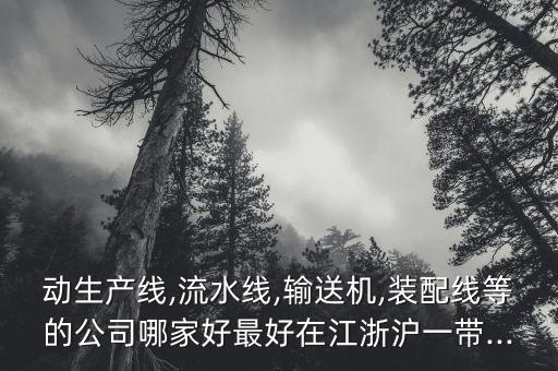 動(dòng)生產(chǎn)線(xiàn),流水線(xiàn),輸送機(jī),裝配線(xiàn)等的公司哪家好最好在江浙滬一帶...