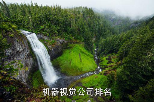 機器視覺公司排名