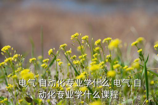  電氣 自動化專業(yè)學什么 電氣 自動化專業(yè)學什么課程