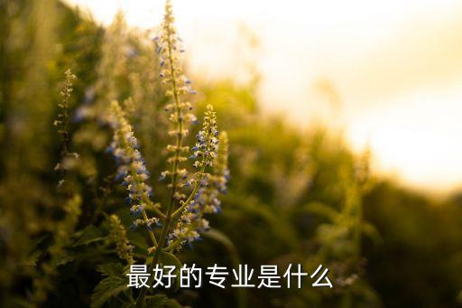 最好的專業(yè)是什么