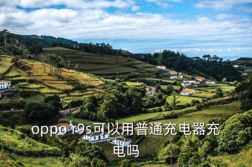 oppo r9s可以用普通充電器充電嗎