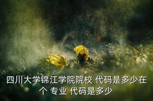 四川大學錦江學院院校 代碼是多少在個 專業(yè) 代碼是多少