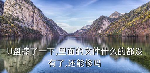 U盤摔了一下,里面的文件什么的都沒有了,還能修嗎