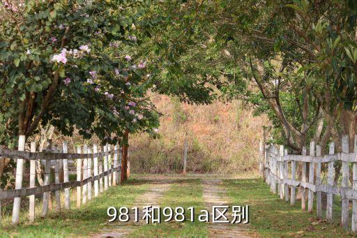 981,三星981和981有區(qū)別