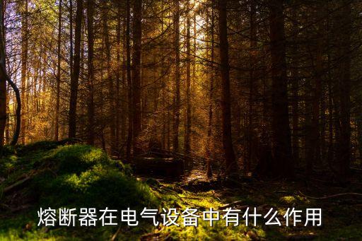電氣自動(dòng)化熔斷器有什么作用,電氣控制電路中保險(xiǎn)絲的功能