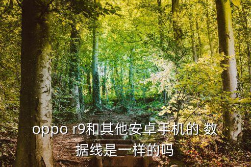 r9用普通數(shù)據(jù)線嗎