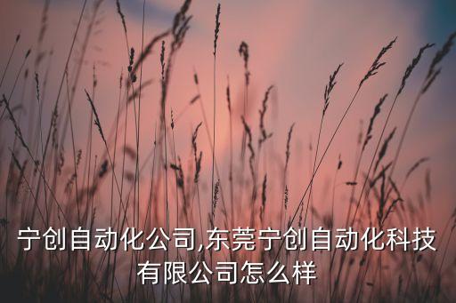 天津寧創(chuàng)自動化公司,東莞寧創(chuàng)自動化科技有限公司怎么樣?