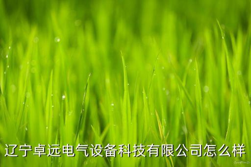 遼寧自動(dòng)化設(shè)備線路,全自動(dòng)包裝設(shè)備生產(chǎn)線怎么樣?