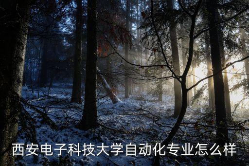 自動化專業(yè)排名評級,西安電子科技大學(xué)自動化專業(yè)排名第三