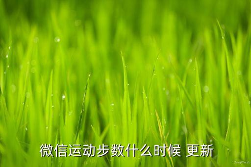 微信計(jì)步數(shù)據(jù)更新周期