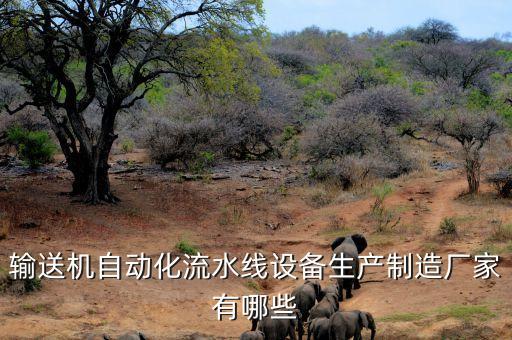 輸送機(jī)自動(dòng)化流水線設(shè)備生產(chǎn)制造廠家有哪些